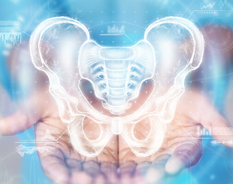 Fisioterapia Pélvica Hospitalar Fisioterapia Pélvica Hospitalar